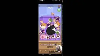 MERGE FELLAS LEVEL317