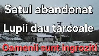 Заброшенная деревня волков/Атака волков/Шокирующие кадры.