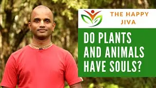 Do Plants & Animals Have Souls?