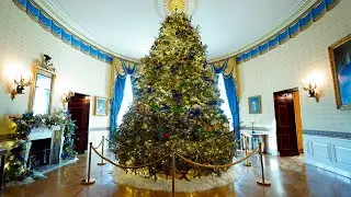 Happening Now: Melania Trump Welcomes White House Christmas Tree
