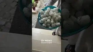 Massive hailstorm pounds Islamabad, turning streets white