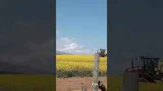 large scale spraying of cabozinc forliars on oil seed crops- kenagro