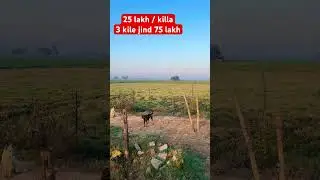 Jind Property dealer 25 lakh ka ek kilaa Sampark kre👌👌🙏