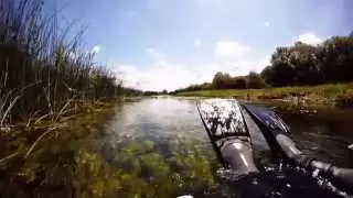 Why I love fly fishing in Ireland - Bass, Pike, Pollock, Sea trout, Mullet, fishing.