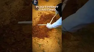 Footprint casting Practical in NFSU  TRIPURA campus #science #nationalforensicscienceuniversity