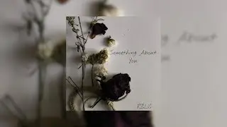 RZLIC - Something bout You (Visualizer)