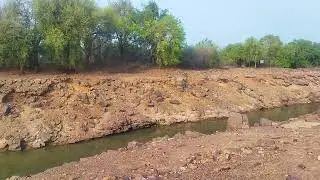Balod forest ka najara🐯 part 1