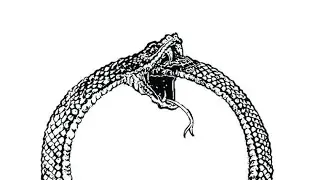 OUROBOROS (ME VS. ME)