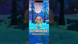 Pokemon GO | Hitmonlee #hitmonlee #winter #pokemongo #pokemon #mobilegame #androit #gameplay #ios