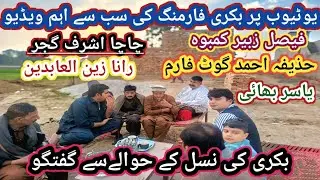 (1042)Debate ABOUT breed of Goats/Bakriyon ki nasal p guftgo/Naagri beetal Bakriyan 