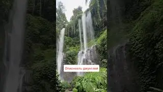 Что ждёт вас в джунглях? #youtubeshorts #джунгли #животные #shorts #animals #jungle #fyp