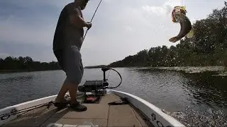 Summer lake scugog bass fishing