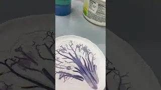 Cabbage leaf imprint on a pottery plate
