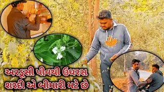 Benefits of Ardusi Juice | Natural Remedy for Cough & Cold