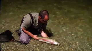 Catch and Release Trout
