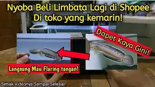 Beli Limbata Di Shopee | Sampe Rumah Langsung Flaring!