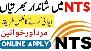 National Testing Services NTS Jobs 2021 | New NTS Jobs Today 2021 | NTS Education Jobs 2021