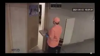 Monkey gets Pizza Delivery