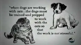 American Humane, Film & T.V. Unit