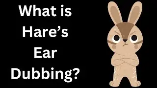 What is hare's ear Dubbing