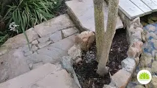 D&eacute;couvrez notre serre tropicale &agrave; Nodebais chez Aquiflor