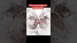 Настоящий облик ангелов #ангелы #религия #херувимы #истина #библия #фонк #серафим