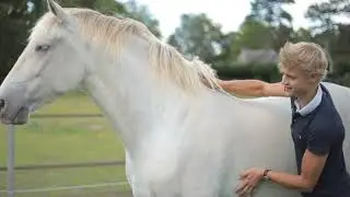 Jesse Drent & The StripHair Gentle Groomer #StripHair #horse #jessedrent