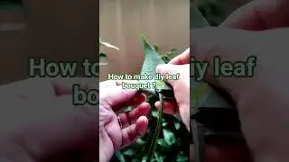 🌿How to make diy leaf bouquet? #decor #viral#ytshorts #new youtuber #crafting