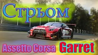 Garret гонщик / Assetto Corsa / на руле.