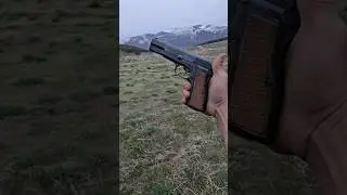 Browning Hi-Power chambered in 9mm