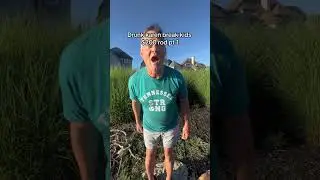 Мэтт Уэбстер &mdash; настоящий ловец шеста!