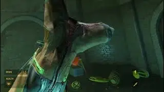 this how bad my frame-rate in HL  Alex is