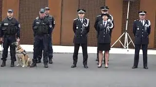 La Rochelle Hôtel de Police Remise de médailles 10/05/2019