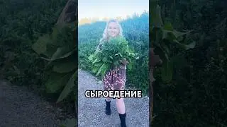 🥗How to switch to a raw food diet?