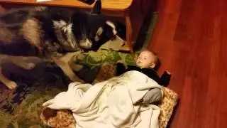 Crazy Family!