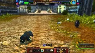 Discodoggy's PvP Pet Battles #6