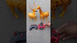 2 To Rc Animals giraffe vs deer tasting #shorts