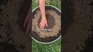 Here&rsquo;s why adding sand to your garden soil might be what you&rsquo;re missing🙌#garden #sand #soil #plants