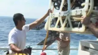 ROV Underwater deep image