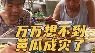 你知道黄瓜有多少种吃法 #记录我的农村生活 #乡村美食 #东北旱黄瓜 @DOU+小助手