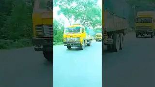 #video #shot #head #247service 2023