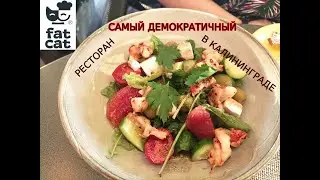 Вкусно и точка? / Обзор нового ресторана Fat Cat / МЕГА демократичные цены