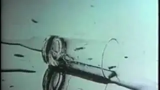1972 