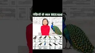 Birds Name in English & Hindi | पक्षियों के नाम | Kids Learning Video | Aarushi Shakya Vlog #birds