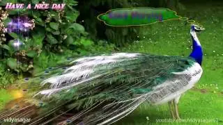 Pushpanjali..Chouhan