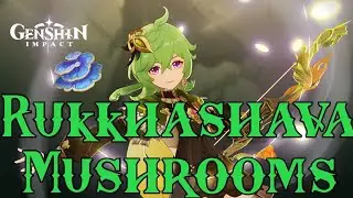 Rukkhashava Mushrooms Farming Route Locations Genshin Impact Easiest Route 45 Rukkhashava Mushrooms