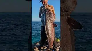 Psycho Handline Fishing Adventure | Extreme Fishing Challenge