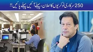 Easy!! 250 New Govt Jobs Announced For Unemployed
