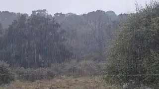 ¡Qué manera de llover! que alegría le va a dar al campo😉👍