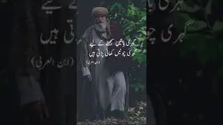 Ibn arabi💔🥺 #poetry #quotes #shorts #shortsfeed #urdupoetry #shayari #sadpoetry #ibnarabi
